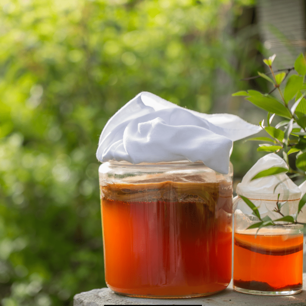 Fermented Tea Recipe